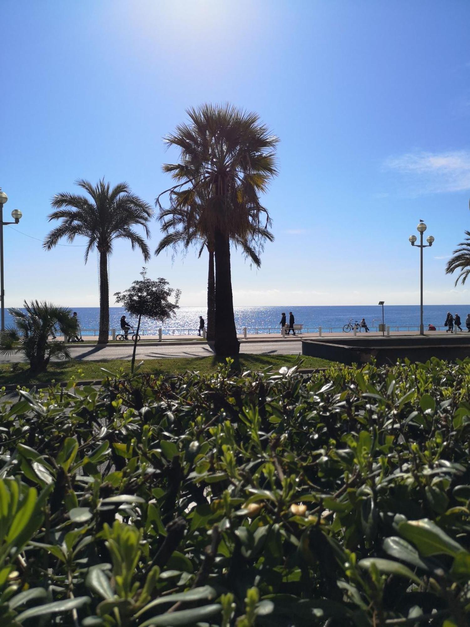 Garden Atlantide Promenade Daire Nice Dış mekan fotoğraf