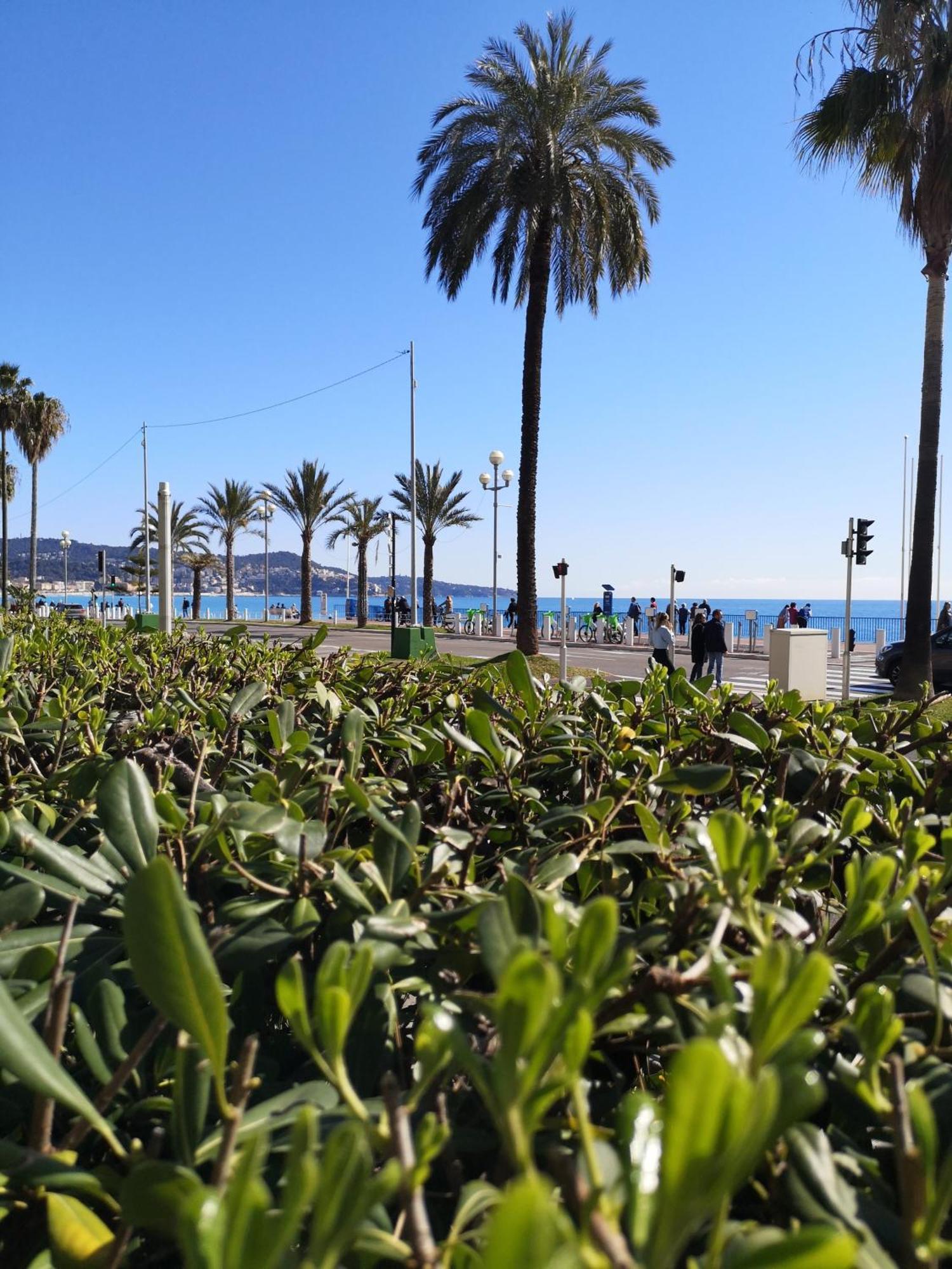 Garden Atlantide Promenade Daire Nice Dış mekan fotoğraf