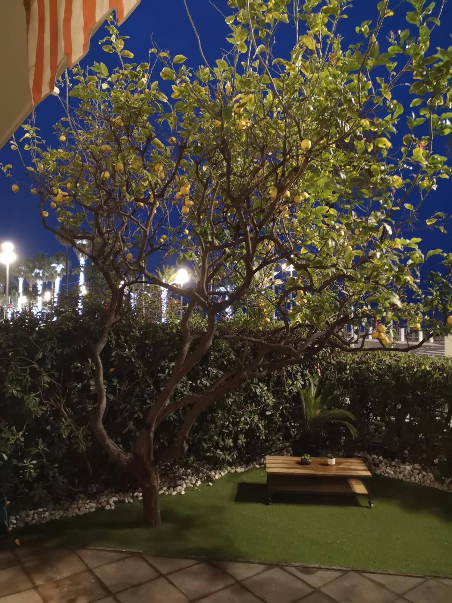Garden Atlantide Promenade Daire Nice Dış mekan fotoğraf