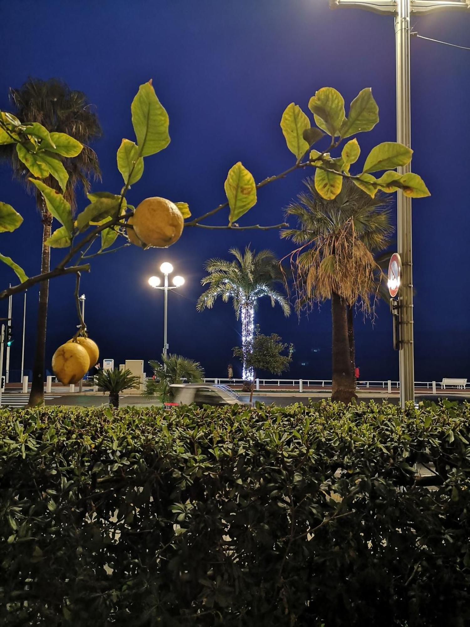 Garden Atlantide Promenade Daire Nice Dış mekan fotoğraf