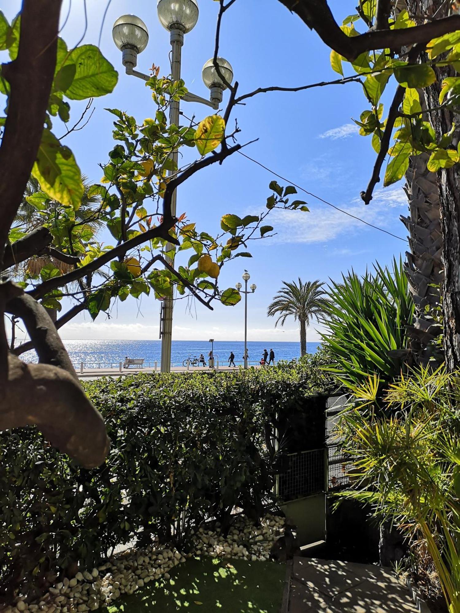 Garden Atlantide Promenade Daire Nice Dış mekan fotoğraf