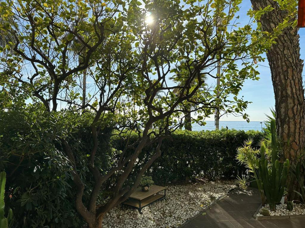 Garden Atlantide Promenade Daire Nice Dış mekan fotoğraf