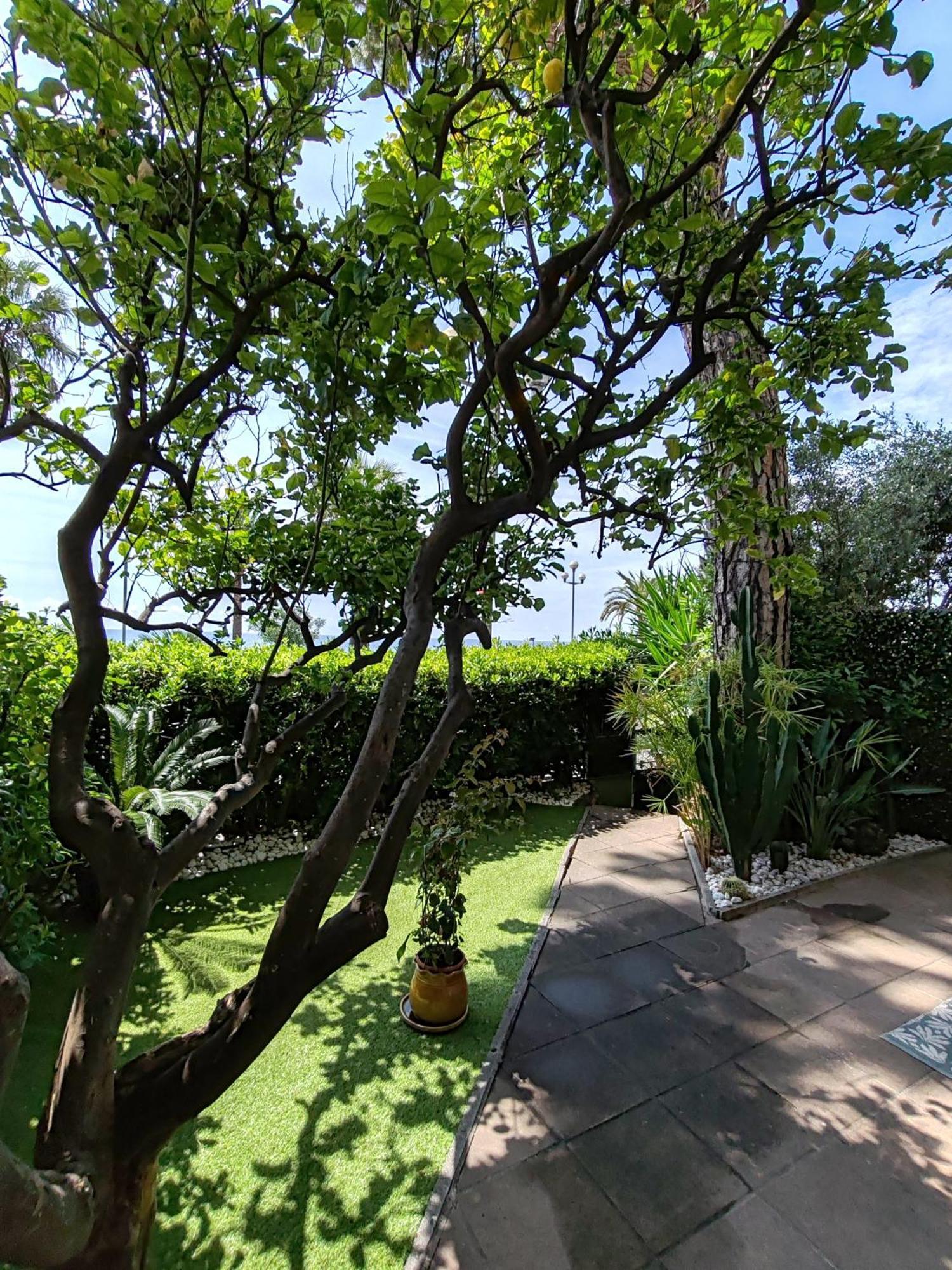 Garden Atlantide Promenade Daire Nice Dış mekan fotoğraf
